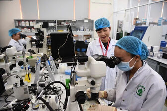 Tăng tốc đào tạo tiến sĩ: Các chương trình miễn phí