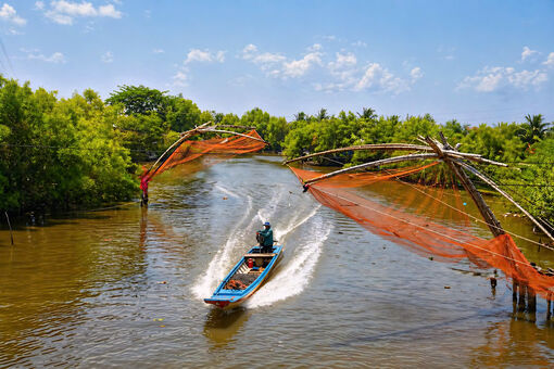 Sức sống mãnh liệt của kênh Chống Mỹ