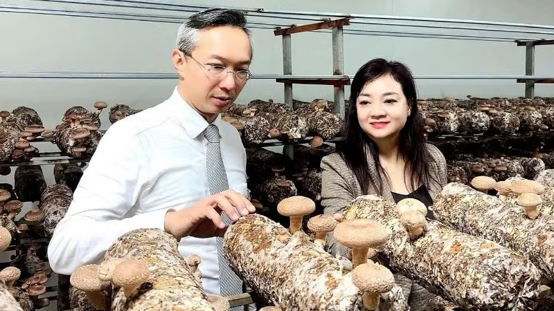 Hoàn thiện cơ chế hỗ trợ nghiên cứu, ứng dụng công nghệ