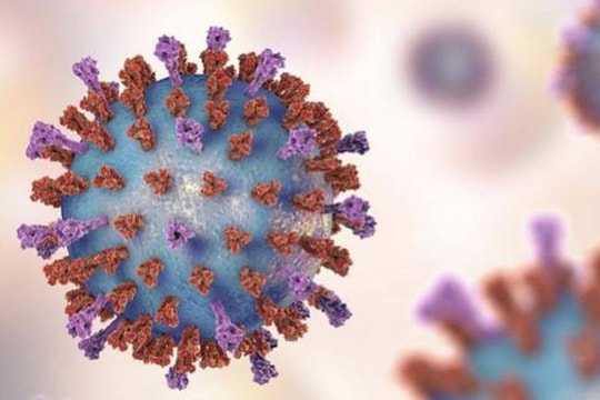 Australia phát hiện virus bại liệt trong nước thải sau hơn nửa thế kỷ