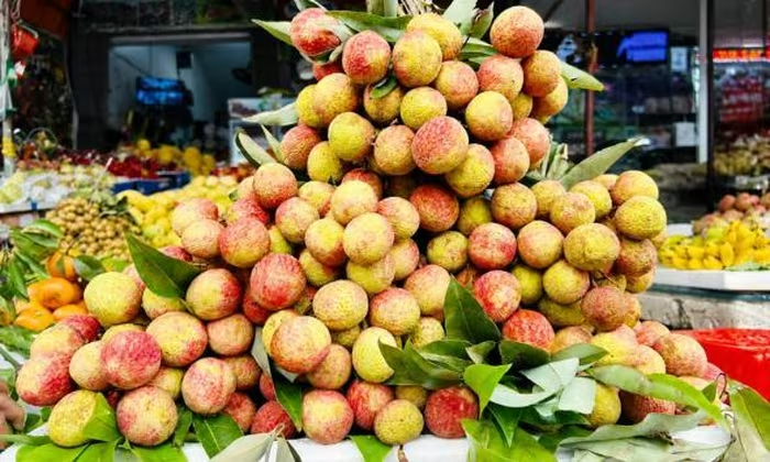 Vải thiều chín sớm vào mùa, giá cao vẫn hút khách