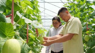 Ở lại quê lập nghiệp