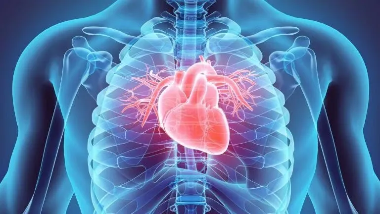 Những thói quen buổi sáng âm thầm “bào mòn” trái tim bạn mỗi ngày