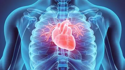 Những thói quen buổi sáng âm thầm “bào mòn” trái tim bạn mỗi ngày