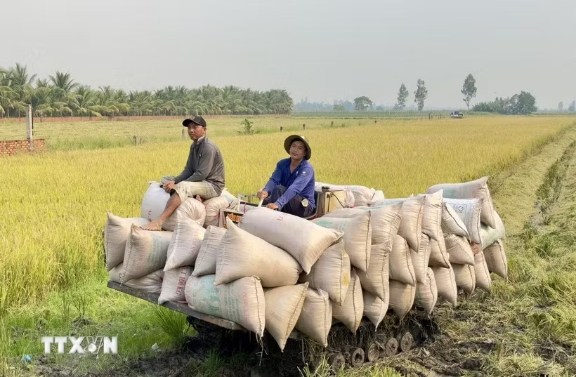 Xuất khẩu nông lâm thủy sản ước đạt 23,04 tỷ USD trong 4 tháng đầu năm 2026