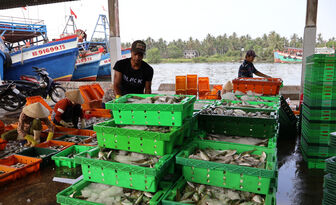 An Giang khẩn trương khắc phục các tồn tại, hạn chế về IUU