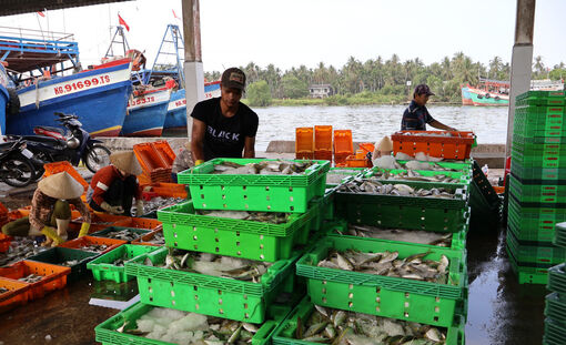 An Giang khẩn trương khắc phục các tồn tại, hạn chế về IUU