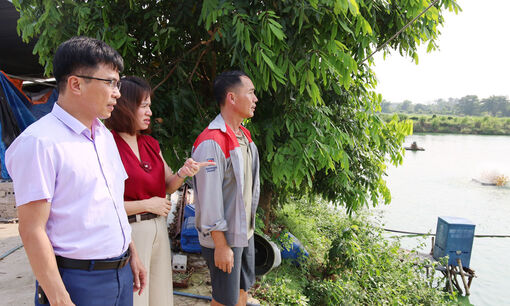 Ứng dụng thiết bị thông minh trong nuôi cá trắm cỏ