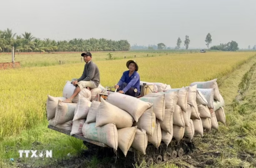 Xuất khẩu nông lâm thủy sản ước đạt 23,04 tỷ USD trong 4 tháng đầu năm 2026
