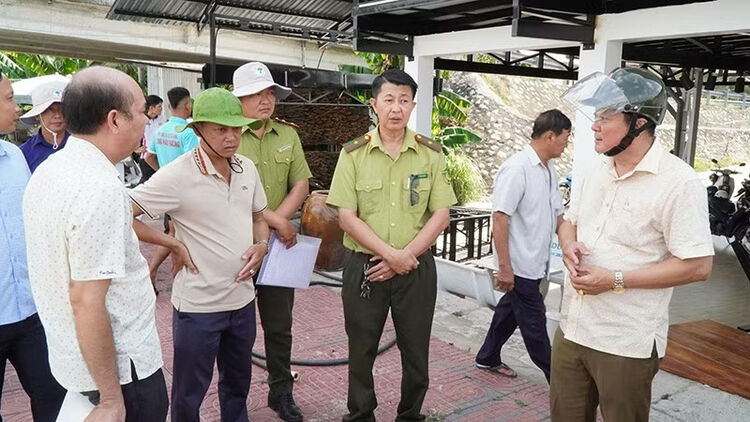 Thông tin cá sấu lớn nổi trên sông Tiểu Cần, tỉnh Vĩnh Long là không đúng, cần sớm được xử lý