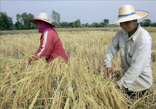 Nguy cơ  "siêu El Nino" đe dọa an ninh năng lượng, lương thực ở châu Á