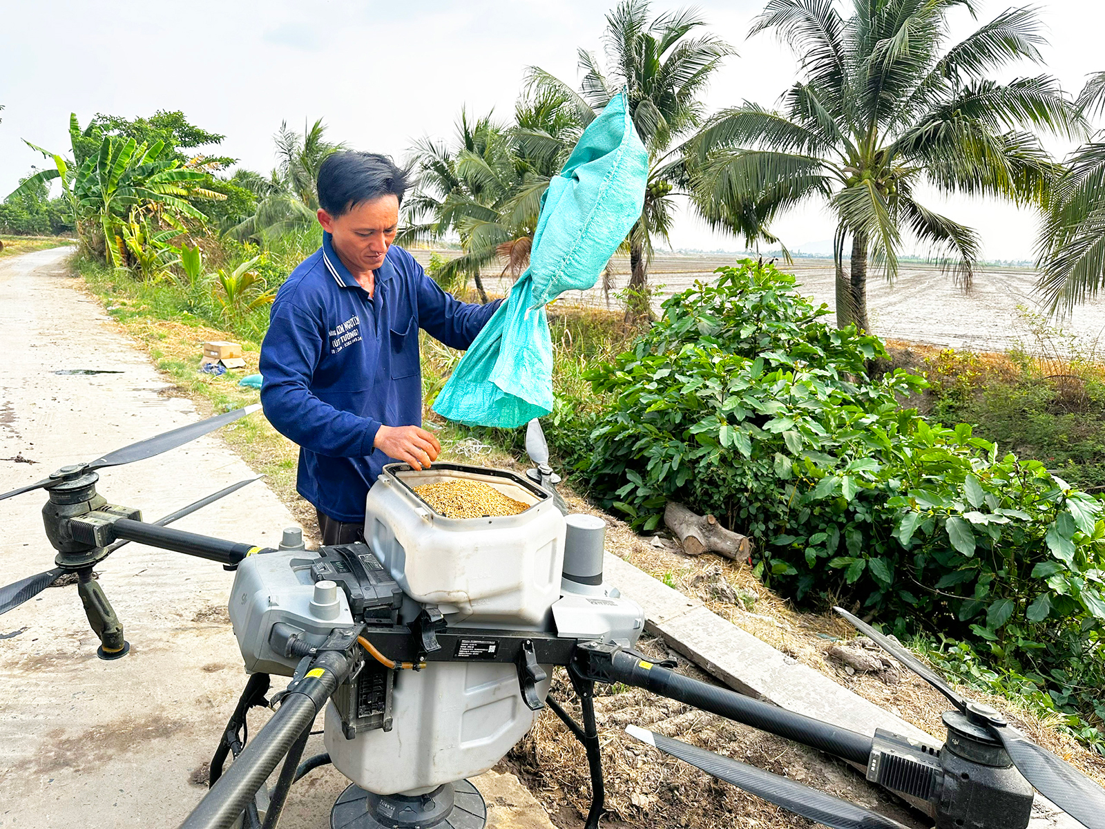 Chủ động để thắng vụ hè thu