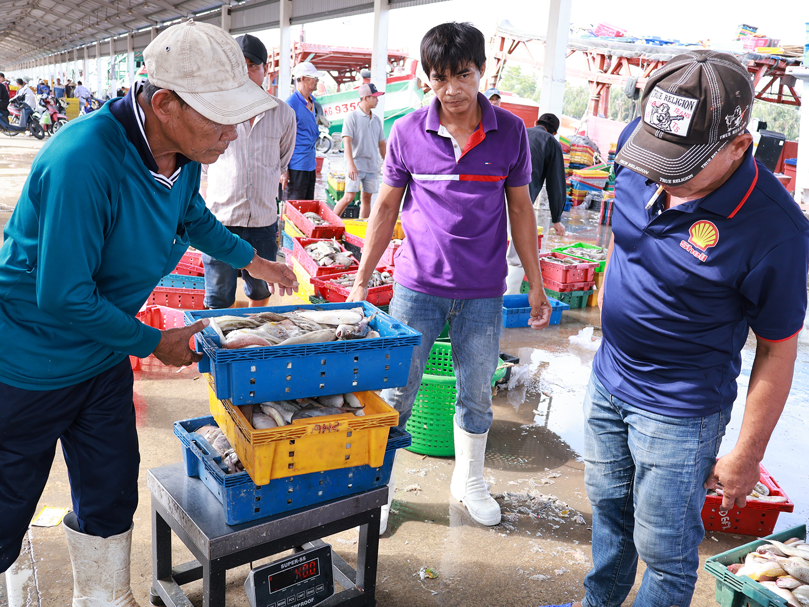 Truy xuất điện tử cho tàu cá