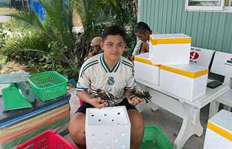 Người trẻ trước ngã rẽ “đi hay ở”
