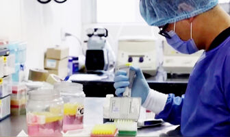 WHO điều phối ứng phó rủi ro lây lan virus Hanta