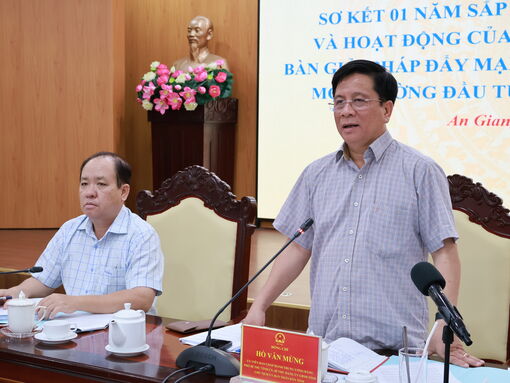An Giang sơ kết 1 năm sắp xếp đơn vị hành chính, hoạt động của chính quyền địa phương 2 cấp