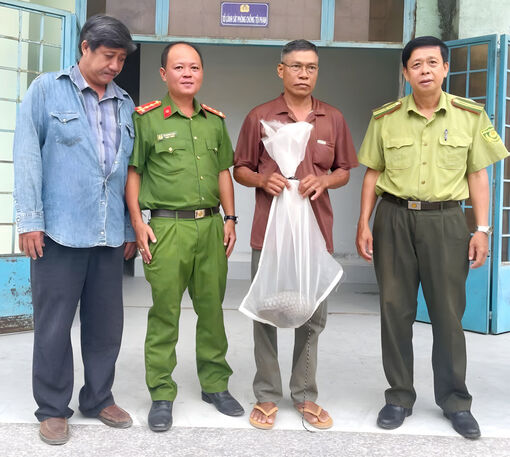 Công an xã Ô Lâm phối hợp thả cá thể tê tê vàng về môi trường tự nhiên