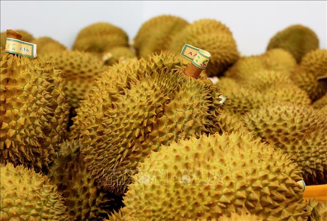 Tháo gỡ khó khăn trong kiểm nghiệm để thúc đẩy xuất khẩu sầu riêng và nông sản