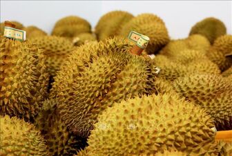 Tháo gỡ khó khăn trong kiểm nghiệm để thúc đẩy xuất khẩu sầu riêng và nông sản