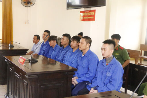 Hành hạ ngư phủ, che giấu tội phạm, 8 bị cáo lãnh án tù
