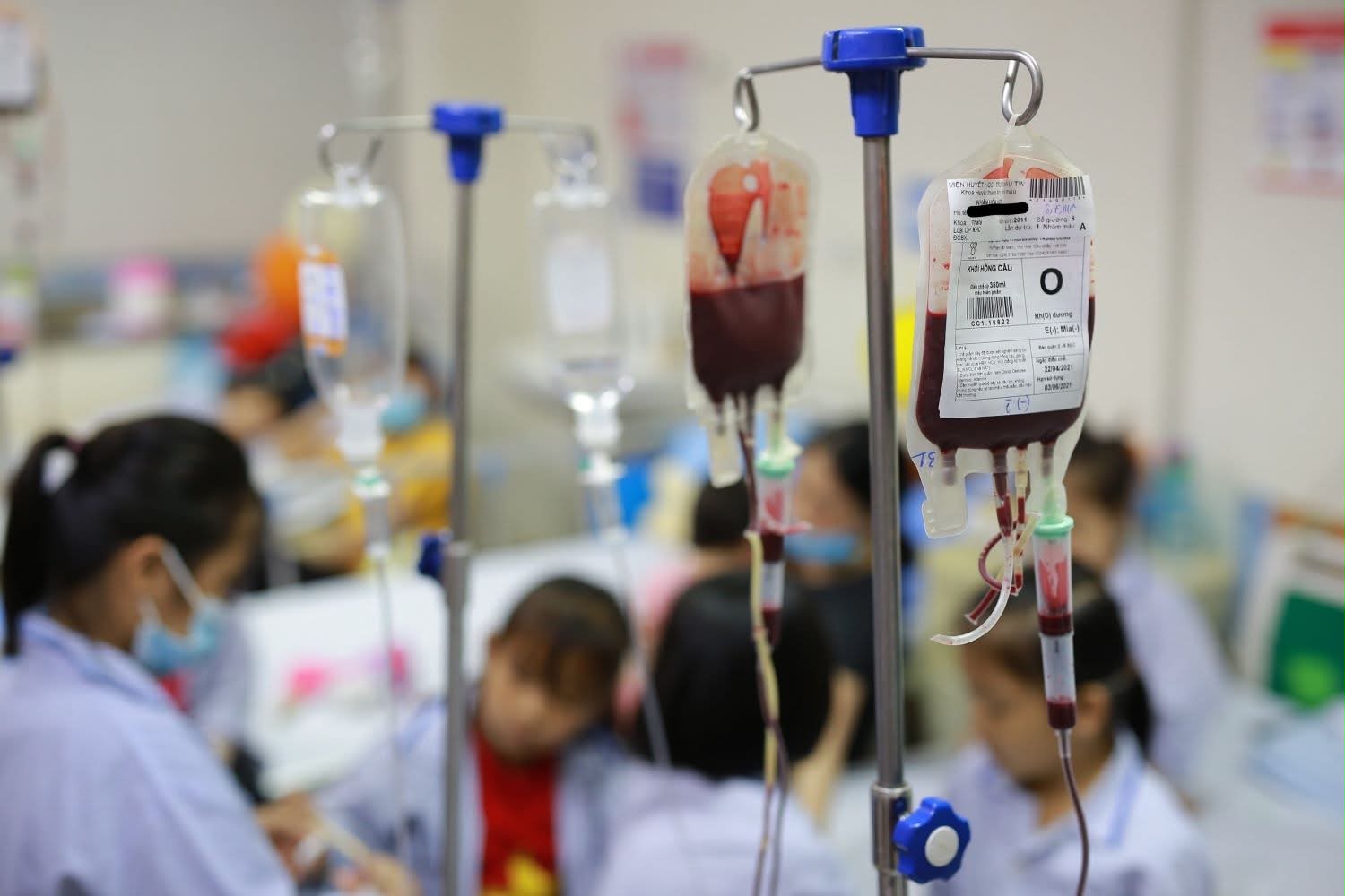 Ngày Thalassemia Thế giới (8/5): Nhiều người mang gen bệnh mà không biết
