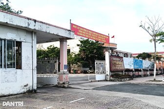 Sở Giáo dục và Đào tạo Cà Mau thông tin về sắp xếp, sáp nhập các trường học
