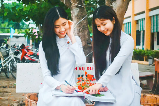 Khi phượng đỏ lại về