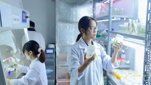 Lan tỏa vai trò động lực của khoa học công nghệ