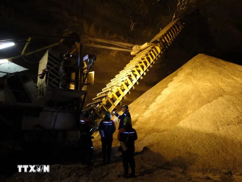 FAO cảnh báo tình trạng khan hiếm phân bón do gián đoạn tại eo biển Hormuz