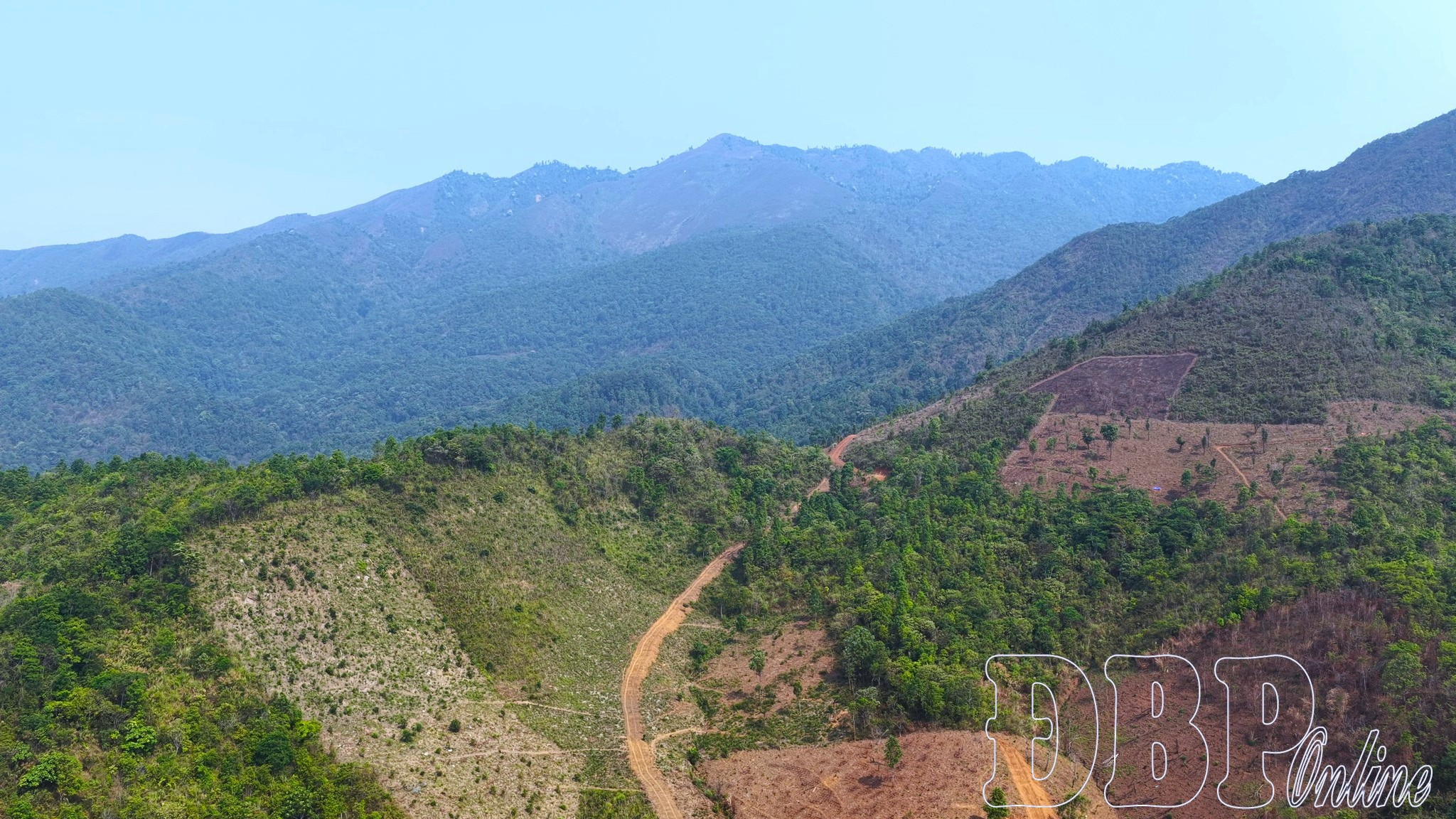 Giữ rừng như hơi thở