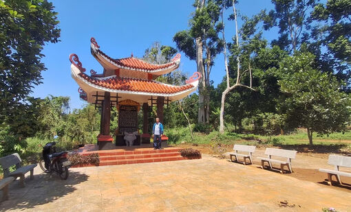 Cánh đồng neo dấu nhà Tây Sơn