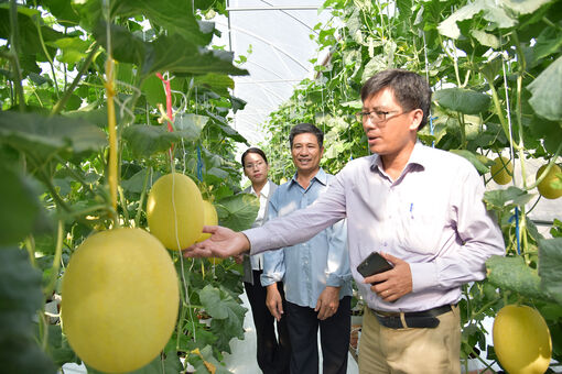 Công nghệ cao nhưng đầu ra còn khó