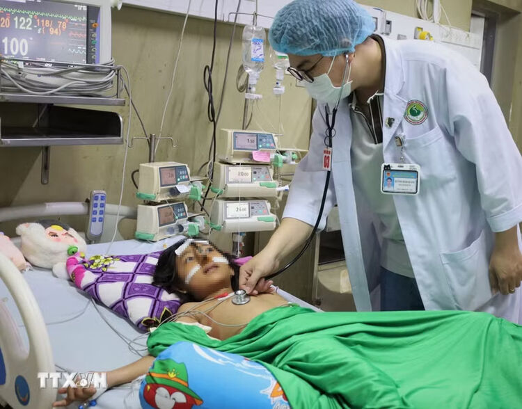 Cà Mau: Cứu thành công bệnh nhi bị hơn 70 vết ong vò vẽ đốt