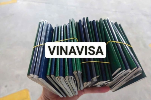 Dịch vụ Visa Hàn Quốc tại Đà Nẵng: Tỷ lệ đậu cao - Thủ tục nhanh gọn