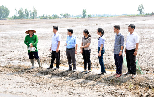 Giảm chi phí, giữ lời vụ hè thu