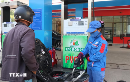 Petrolimex dừng bán RON95 chuyển sang xăng sinh học E10 từ ngày 20/5