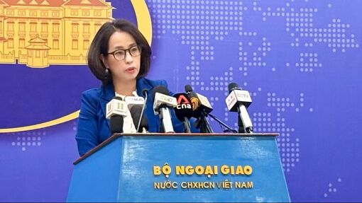 Việt Nam kiên quyết xử lý nghiêm mọi hành vi xâm phạm quyền sở hữu trí tuệ