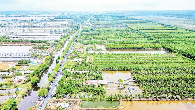 Nền tảng cho những miền quê đáng sống
