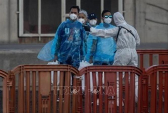 Virus Hanta: Nhiều nước giám sát chặt hành khách liên quan ổ dịch trên du thuyền