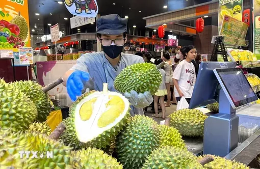 Mã số vùng trồng: “Tấm hộ chiếu” bảo vệ uy tín nông sản Việt Nam