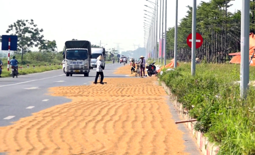 Phơi thóc, rơm rạ chiếm lòng đường gây tai nạn có thể bị xử lý hình sự
