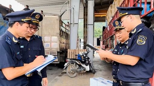 Bổ sung phạm vi địa bàn hoạt động hải quan ngoài khu vực cửa khẩu