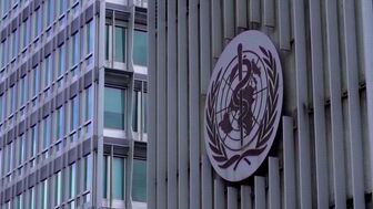 WHO đánh giá về đợt bùng phát virus Hanta
