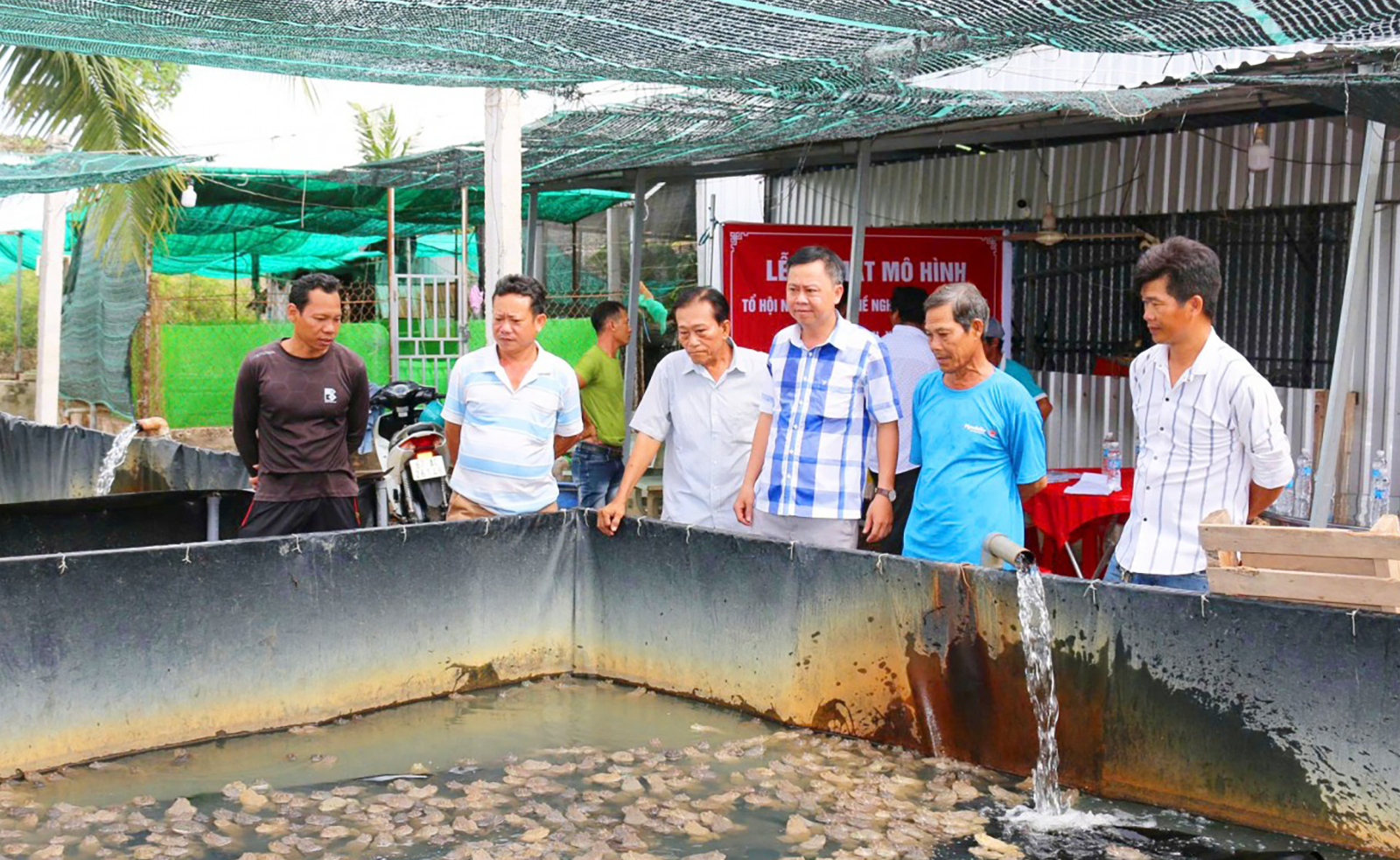 Ra mắt Tổ hội Nông dân nghề nghiệp chăn nuôi ếch xã Mỹ Đức