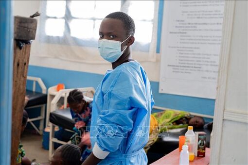 Ebola và virus Hanta phơi bày thách thức mới về y tế toàn cầu