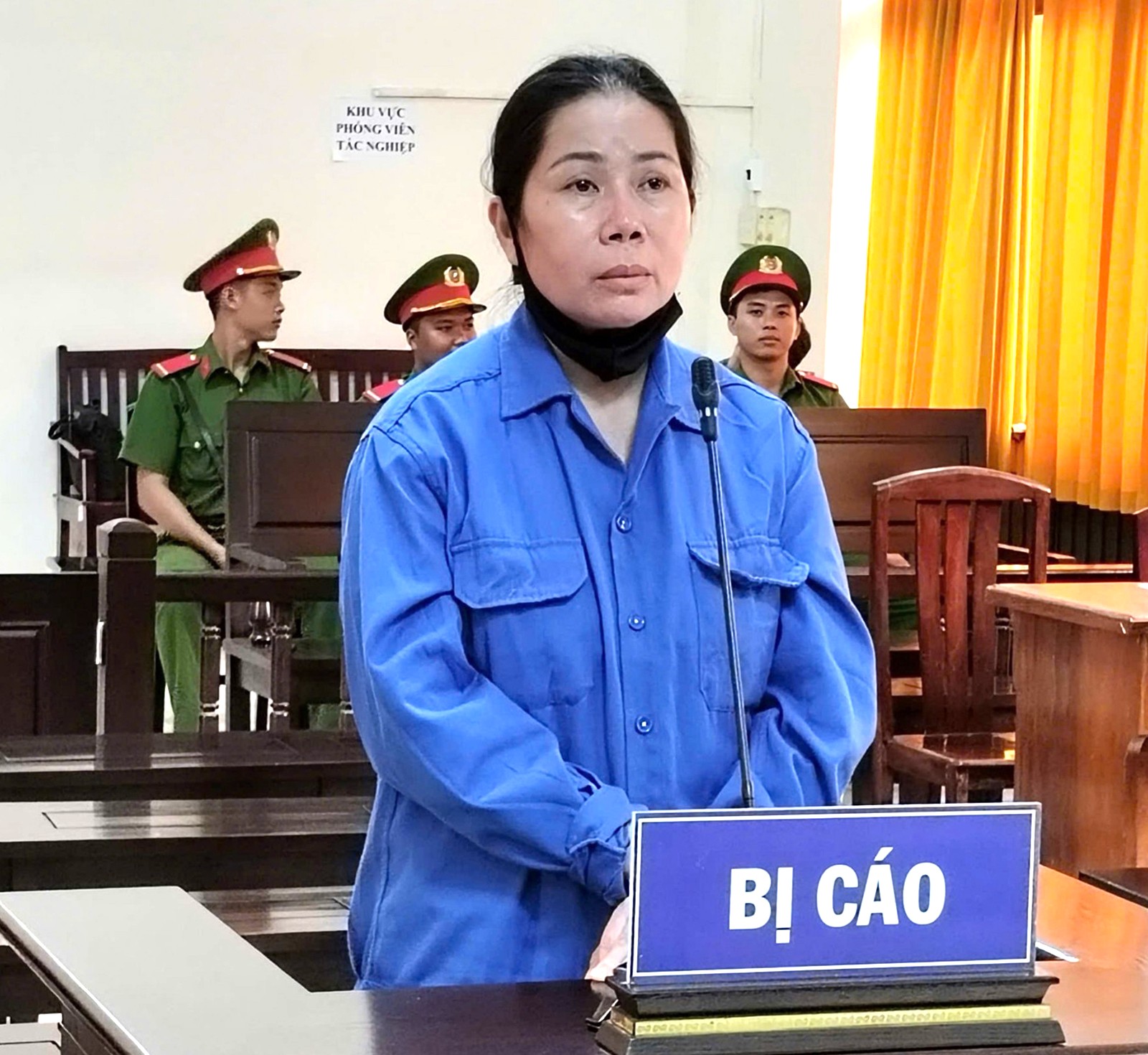Lừa đảo chiếm đoạt tài sản, người phụ nữ lãnh 30 năm tù