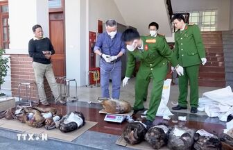 Khởi tố Trạm trưởng Kiểm lâm liên quan vụ nuôi nhốt động vật hoang dã trái phép