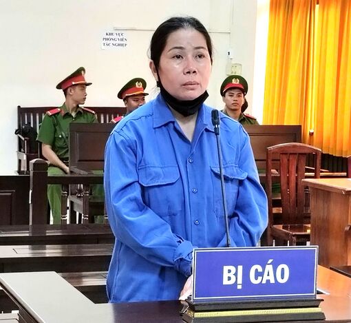Lừa đảo chiếm đoạt tài sản, người phụ nữ lãnh 30 năm tù