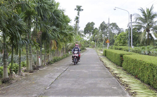 Nhân lên những tuyến đường đẹp