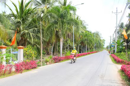 Hoàn thành phương án tổng thể sắp xếp, tổ chức lại thôn, tổ dân phố trước ngày 10/6/2026
